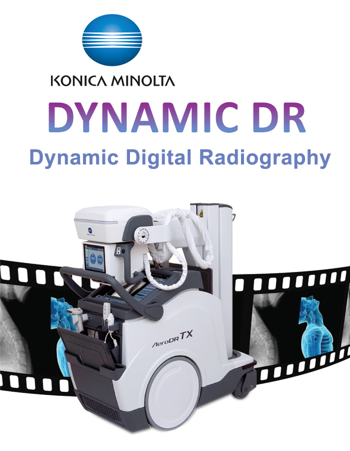 dynamicdr1